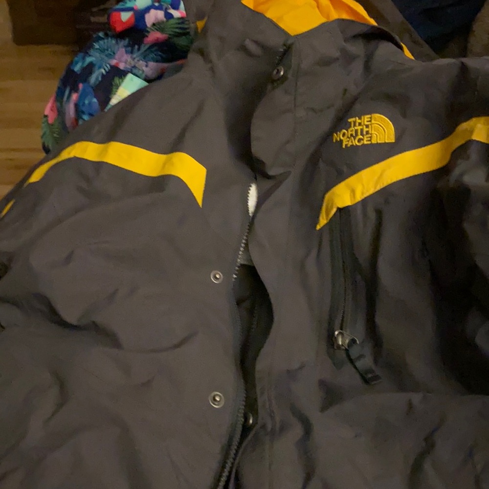 The north face winter coat